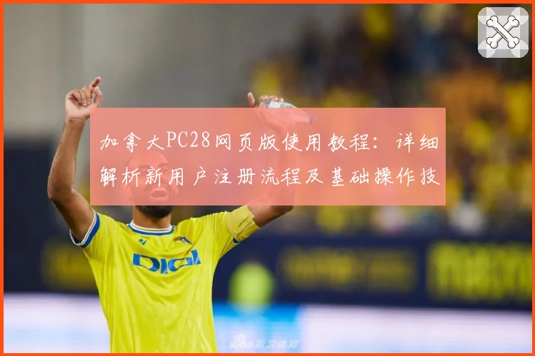 加拿大PC28网页版使用教程：详细解析新用户注册流程及基础操作技巧