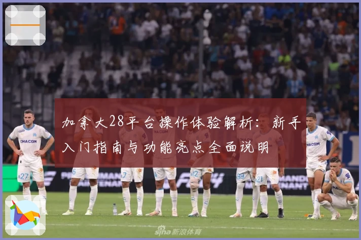 加拿大28平台操作体验解析：新手入门指南与功能亮点全面说明