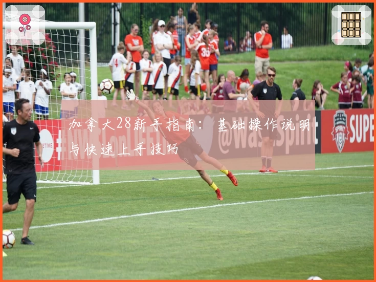 加拿大28新手指南：基础操作说明与快速上手技巧