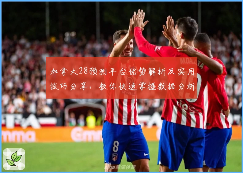 加拿大28预测平台优势解析及实用技巧分享，教你快速掌握数据分析方法