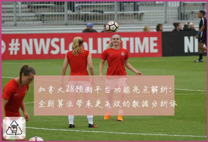 加拿大28预测平台功能亮点解析：全新算法带来更高效的数据分析体验
