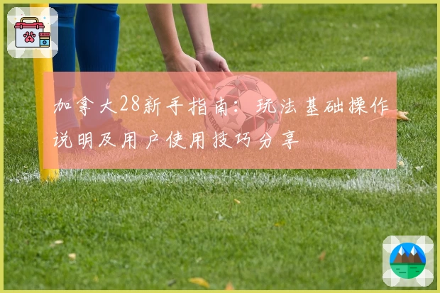 加拿大28新手指南：玩法基础操作说明及用户使用技巧分享