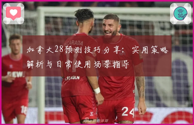 加拿大28预测技巧分享：实用策略解析与日常使用场景指导