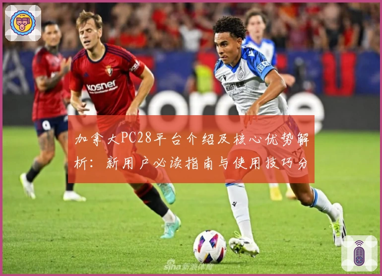 加拿大PC28平台介绍及核心优势解析：新用户必读指南与使用技巧分享