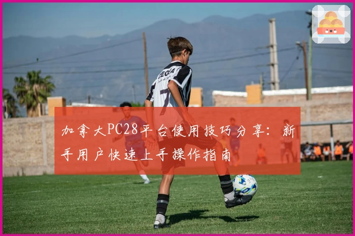 加拿大PC28平台使用技巧分享：新手用户快速上手操作指南