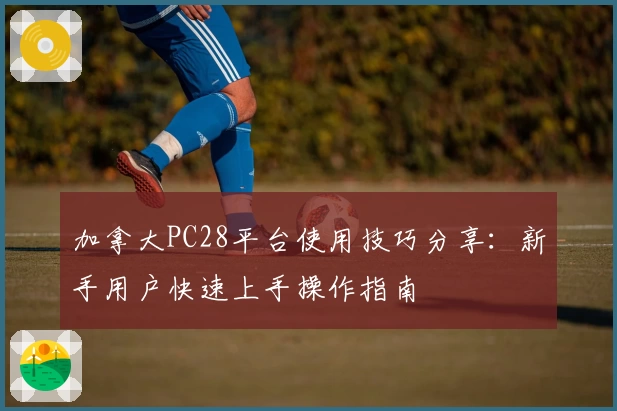 加拿大PC28平台使用技巧分享：新手用户快速上手操作指南
