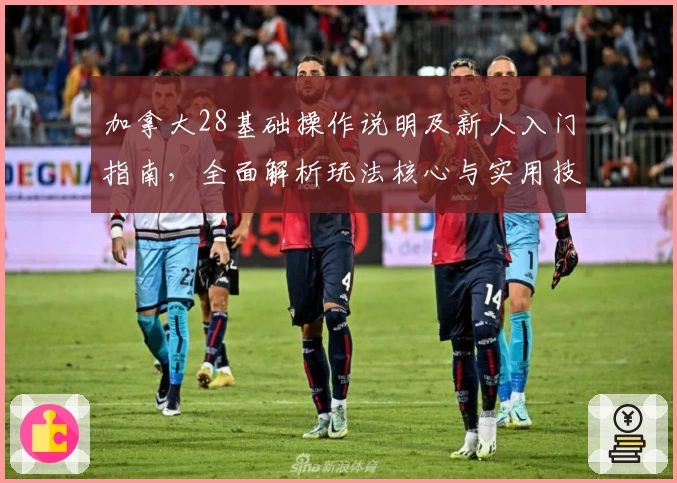 加拿大28基础操作说明及新人入门指南，全面解析玩法核心与实用技巧