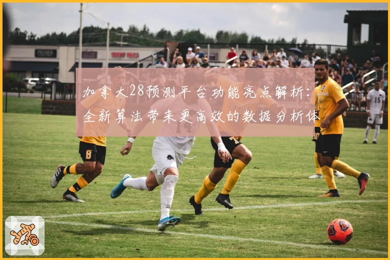 加拿大28预测平台功能亮点解析：全新算法带来更高效的数据分析体验
