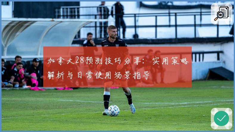 加拿大28预测技巧分享：实用策略解析与日常使用场景指导