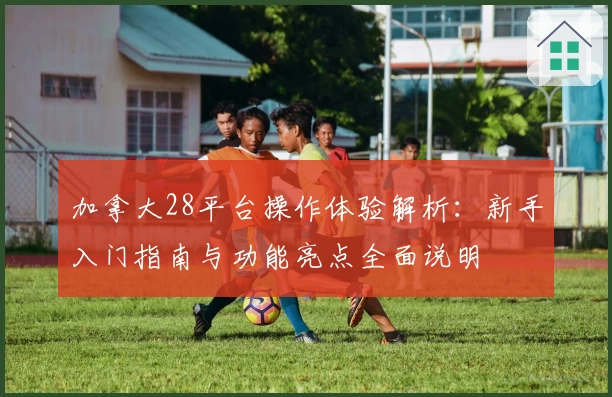 加拿大28平台操作体验解析：新手入门指南与功能亮点全面说明