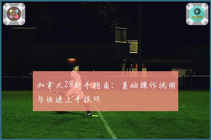 加拿大28新手指南：基础操作说明与快速上手技巧